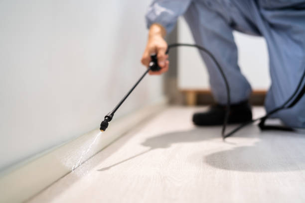 Licensed Rodent Control service in Greendale, WI - Nex Pest Control