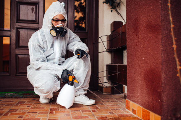 Reliable Rodent Control contractor in Greendale, WI by Nex Pest Control