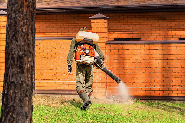 Trusted Ant Control service in Greendale, WI - Nex Pest Control